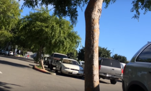 Watch: Man remixes whining alarm from car with dying battery into genuine banger