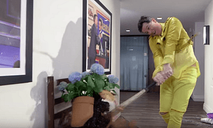 Watch: Stephen Colbert's does a stellar interpretation of, and then mansplains, Beyonce's 'Lemonade'