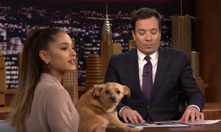 Watch: Ariana Grande introduced everyone to her winking dog on Fallon