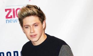 Niall Horan dating Irish model? Niall Horan dating Irish model?