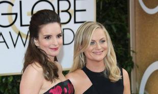 Tina Fey suggests that Liz Lemon and Leslie Knope do a spin-off together Tina Fey suggests that Liz Lemon and Leslie Knope do a spin-off together