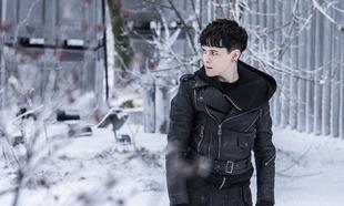 The Girl in the Spider's Web The Girl in the Spider's Web