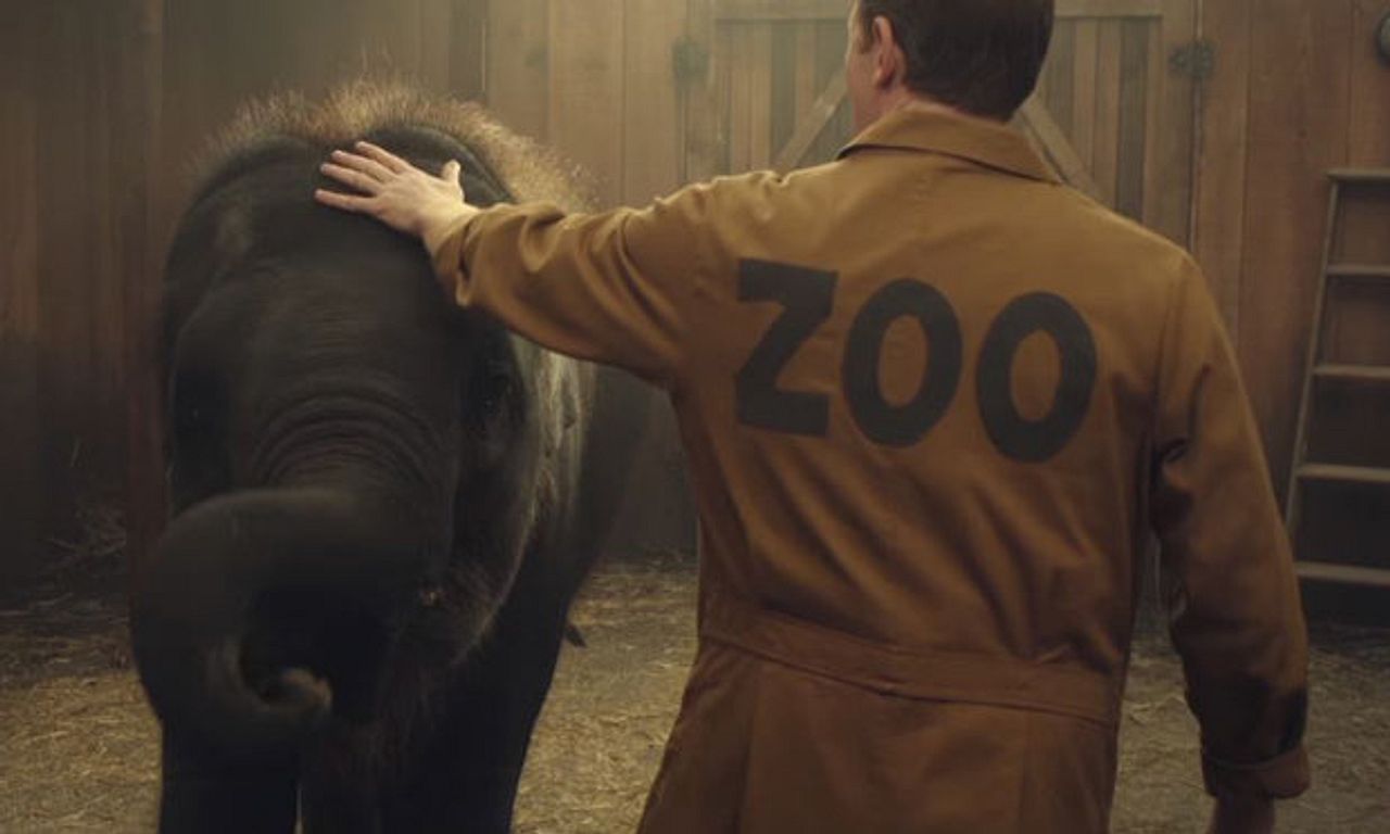 Zoo - Cinema, Movie, Film Review - Entertainment.ie