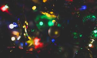 PIC: Grandmother bought what she thought were sparkly Christmas baubles, but she was so wrong PIC: Grandmother bought what she thought were sparkly Christmas baubles, but she was so wrong