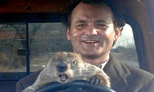No, Bill Murray is NOT running for President No, Bill Murray is NOT running for President