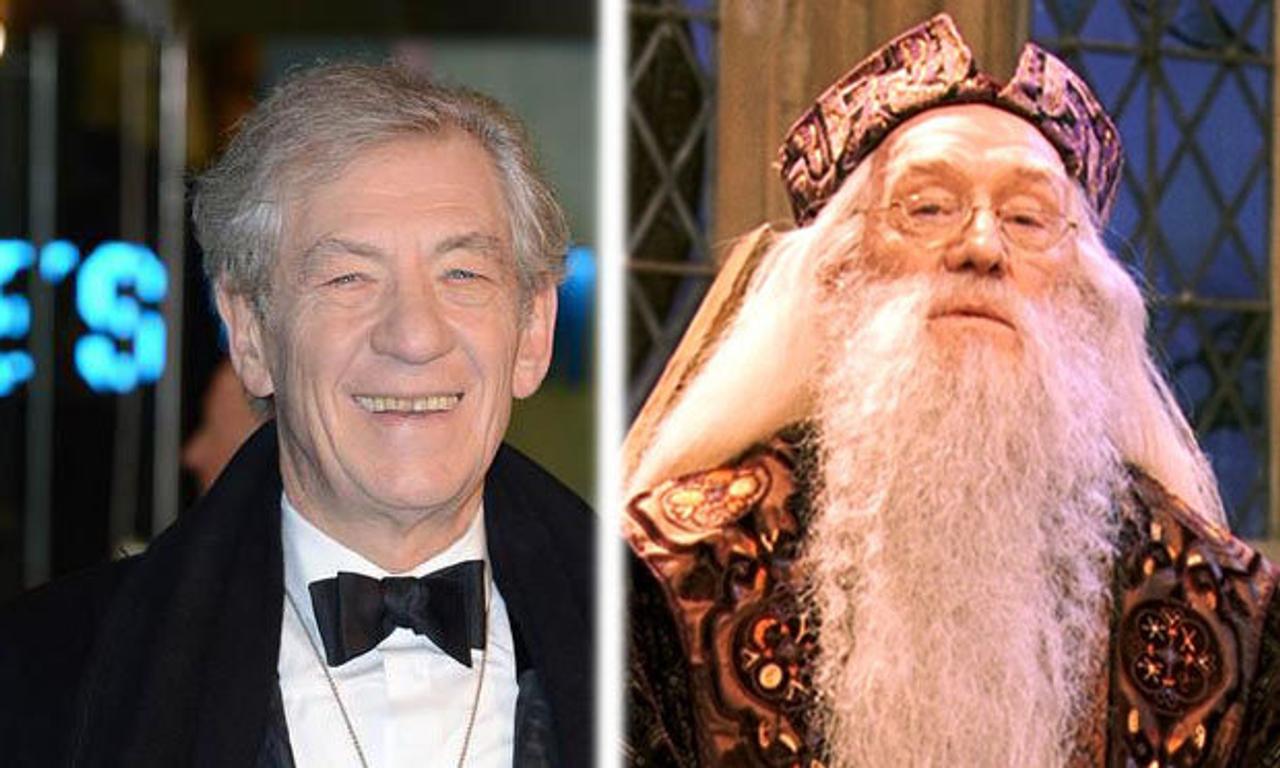 ian mckellen gandalf vs dumbledore