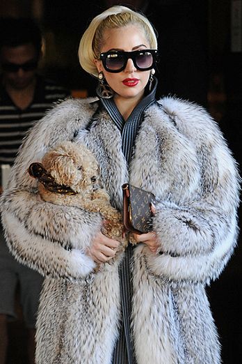 Lady Gaga and her puppy