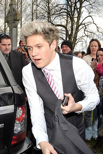 Niall Horan's brother's wedding