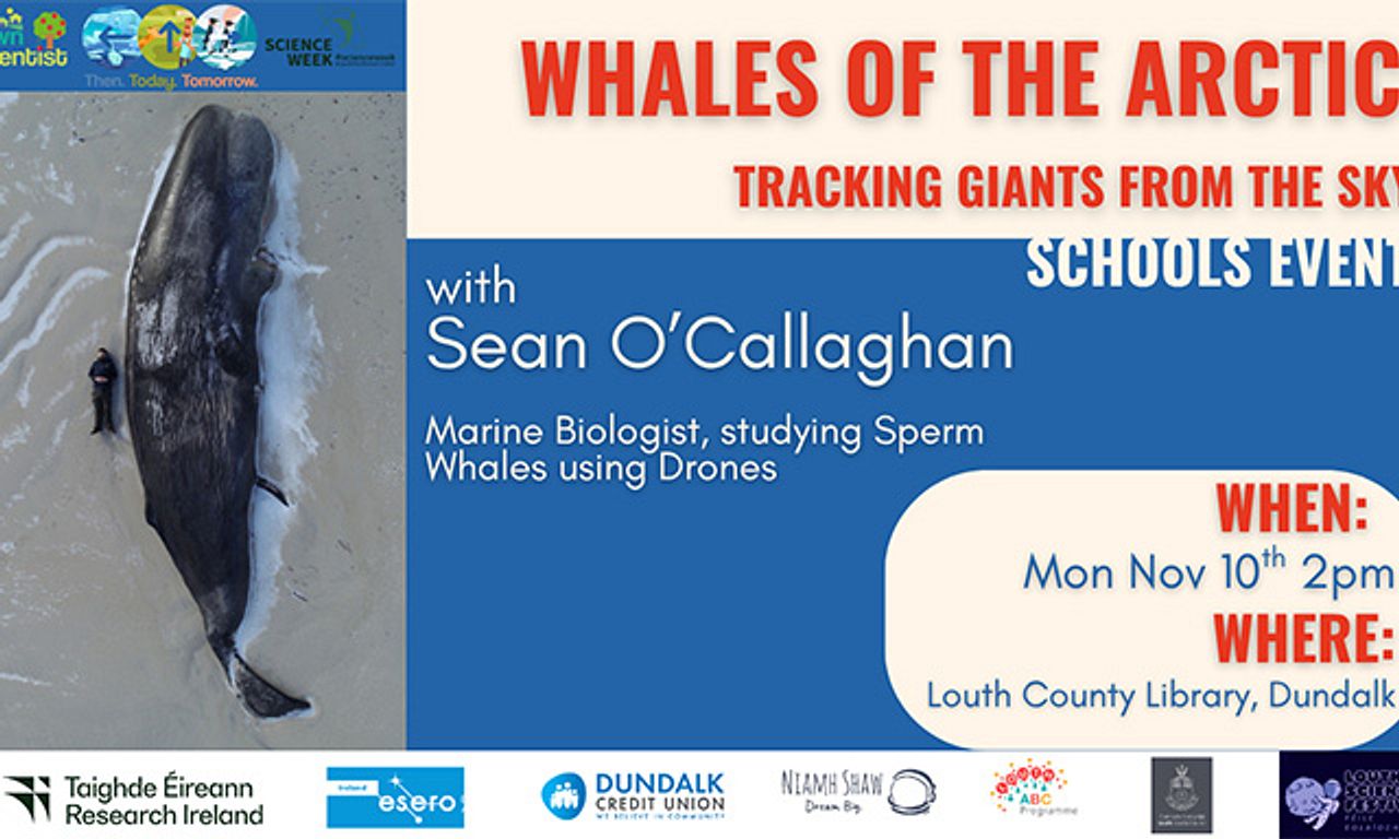 Whales of the Arctic at Louth County Library - 10th November 2025 ...