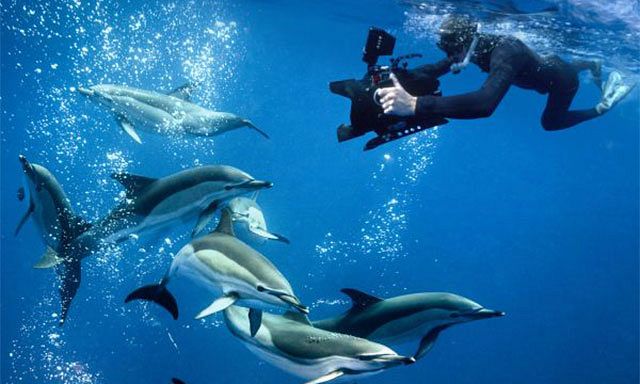 Stories from the Sea
