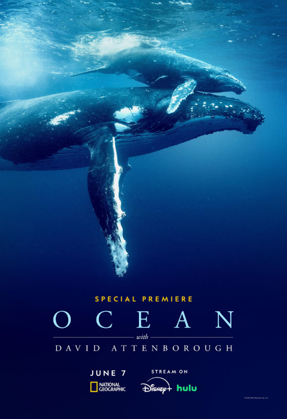 David Attenborough: Ocean