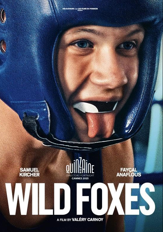 Wild Foxes