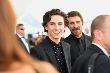 LOS ANGELES, CA - JANUARY 27: Timothée Chalamet attends the 25th Annual Screen Actors Guild Awards at The Shrine Auditorium on January 27, 2019 in Los Angeles, California. 480543  (Photo by Mike Coppola/Getty Images for Turner)