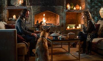 Keanu Reeves and Halle Berry in <a href="https://entertainment.ie/cinema/movie-reviews/john-wick-chapter-3-parabellum-398028/">John Wick: Chapter 3 - Parabellum</a>