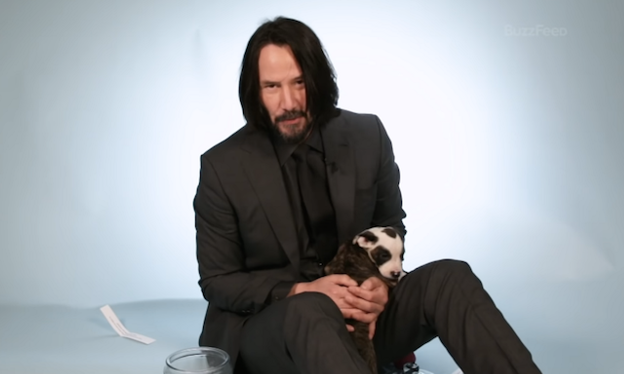 And now, Keanu Reeves answering banal questions - with lots of puppies