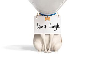 The Secret Life of Pets 2