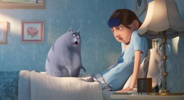 Lake Bell in <a href="https://entertainment.ie/cinema/movie-reviews/the-secret-life-of-pets-2-393529/">The Secret Life of Pets 2</a>