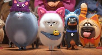 Lake Bell, Bobby Moynihan, Jenny Slate, and Hannibal Buress in <a href="https://entertainment.ie/cinema/movie-reviews/the-secret-life-of-pets-2-393529/">The Secret Life of Pets 2</a>