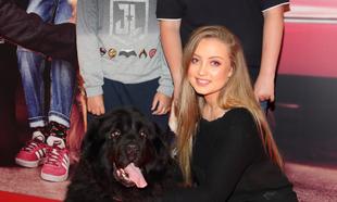 Dog-friendly Special Screening of 'The Art of Racing in the Rain' at the Odeon Cinema, Point Square