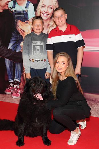 Dog-friendly Special Screening of 'The Art of Racing in the Rain' at the Odeon Cinema, Point Square