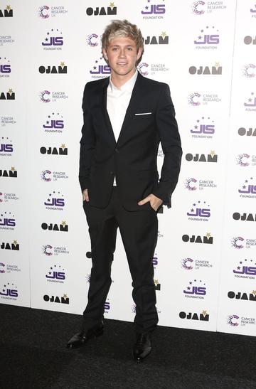 LONDON, ENGLAND - JUNE 06:  Niall Horan of One Direction attends the JLS Foundation and Cancer Research UK fundraiser at Battersea Evolution on June 6, 2013 in London, England.  (Photo by Tim P. Whitby/Getty Images)