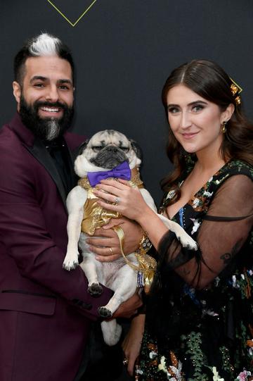 Doug the Pug attends the 2019 E! People's Choice Awards at Barker Hangar on November 10, 2019 in Santa Monica, California. (Photo by Frazer Harrison/Getty Images)