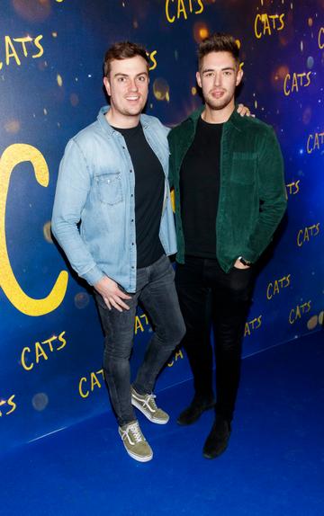 Alan Cawley and Peter Lynch pictured at the Irish premiere screening of ‘Cats’ at The Stella Theatre, Rathmines.
Picture: Andres Poveda
