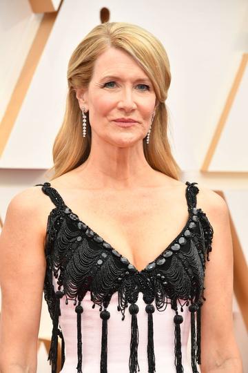 Laura Dern attends the 92nd Annual Academy Awards at Hollywood and Highland on February 09, 2020 in Hollywood, California. (Photo by Amy Sussman/Getty Images)