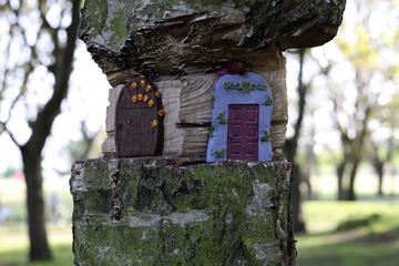 I've been walking through Fairview everyday for a year but it's only in recent weeks I've noticed there's a Fairy Village hidden in the trees. By Charlotte R
