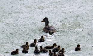 #MySmallWorld Photo Competition: Week One