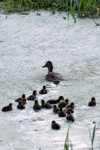 #MySmallWorld Photo Competition: Week One