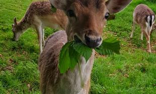 #MySmallWorld Photo Competition: Week Three