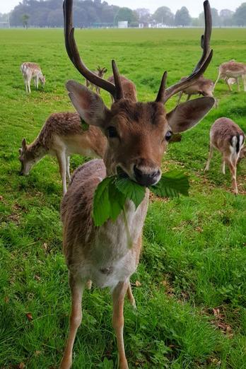 #MySmallWorld Photo Competition: Week Three