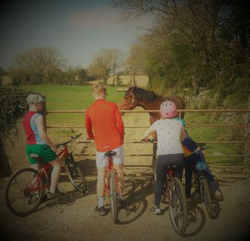 Taken in Wexford.

'Meeting up with the horses on a Lockdown 2Km Cycle'

By Mel F.