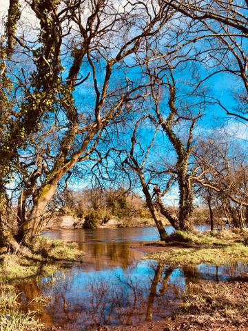 Taken in Ballincollig Regional Park.

'Beuaty on our doorstep!'

By Dawn R.
