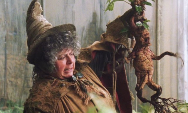 Miriam Margolyes - Edythe Larose