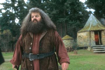 Robbie Coltrane took on the role of half-giant Rebeus Hagrid. Coltrane had previously starred as Valentin Dmitrovich Zhukovsky in various James Bond films. He has since gone on to star alongside his Harry Potter co-stars Julie Walters and Emma Thompson in Disney's 'Brave' (2012). Most recently, he has starred in Channel 4's 'National Treasure' (2016).

Image credit: Warner Bros