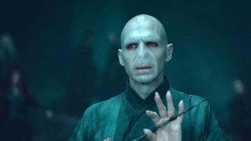 He Who Shall Not Be Namedaka. Voldemort played by Ralph Fiennes.
Fiennes went on to stra in The Grand Budapest Hotel (2014), The Lego Movie franchise and Dolittle. He reprises his role as M in the latest James Bond installment 'No Time to Die'.


Image credit: Warner Bros