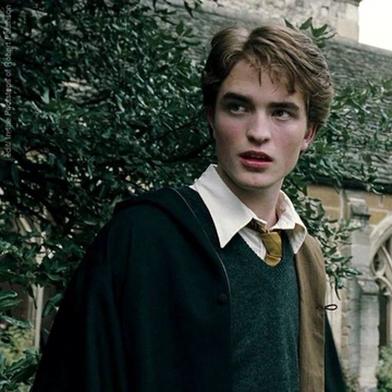 Cedric Diggory played by Robert Pattinson. Robert went on to start in the Twilight franchise. Most recently, he starred alongside William Dafoe in The Lighthouse (2019) and is set to play Batman in the upcoming film.

Image credit: Warner Bros