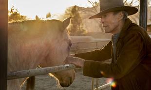 'Cry Macho' sees Clint Eastwood walk into the sunset - again 'Cry Macho' sees Clint Eastwood walk into the sunset - again