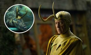 Richard E. Grant wants a Classic Loki and Alligator Loki spin-off Richard E. Grant wants a Classic Loki and Alligator Loki spin-off