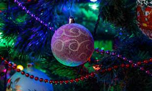 Win some festive cheer with our competitions Win some festive cheer with our competitions