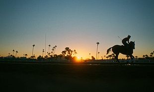 Jockey