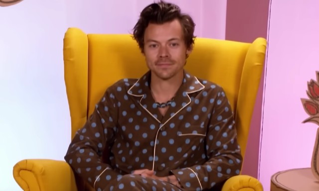 Harry best sale styles pyjamas