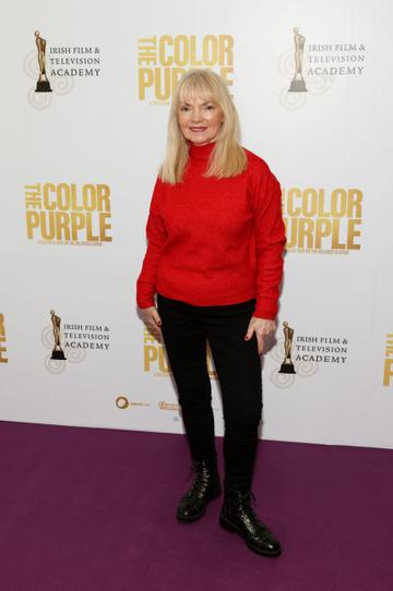 Freda King pictured at the IFTA screening of The Color Purple at the Lighthouse Cinema,Dublin.Picture Brian McEvoyNo Repro fee for one use