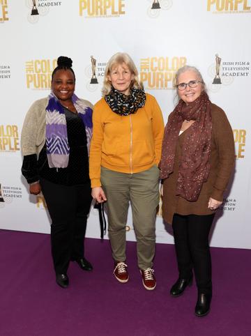 Antoinette Doyle,Hedda Kaphengst and Noelle Clarke pictured at the IFTA screening of The Color Purple at the Lighthouse Cinema,Dublin.Picture Brian McEvoyNo Repro fee for one use