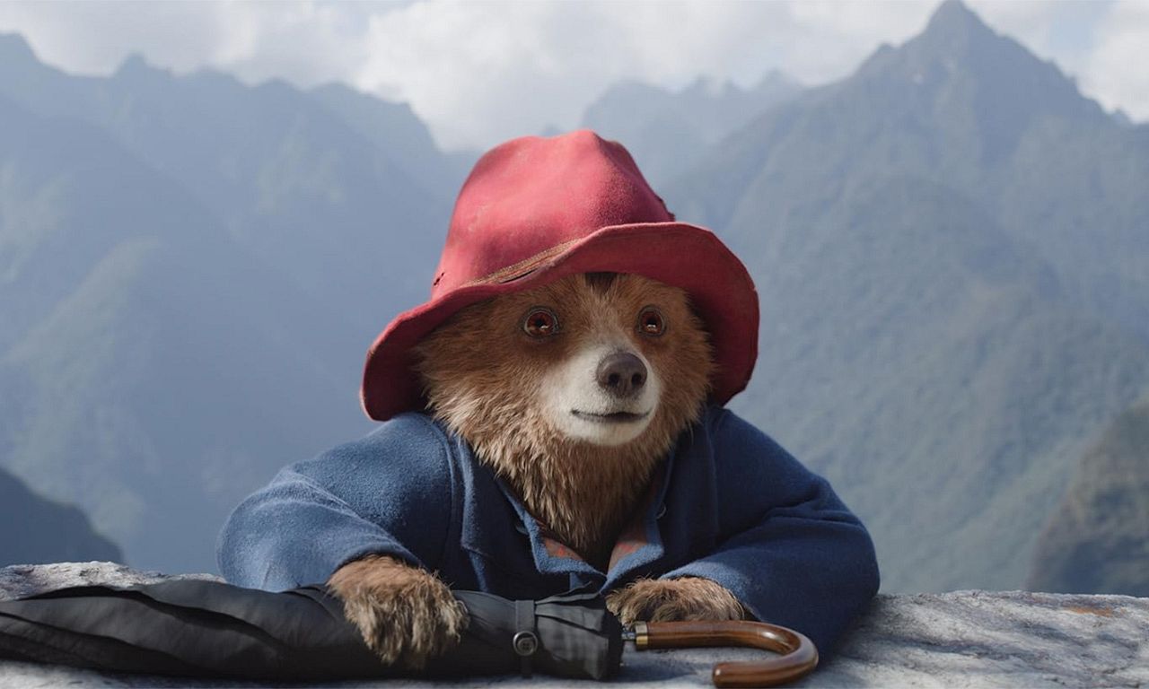 Paddington's Peruvian Adventure
