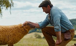 The Sheep Detectives