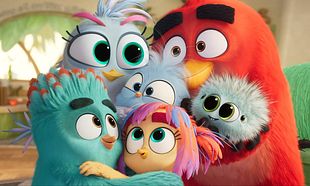 The Angry Birds Movie 3