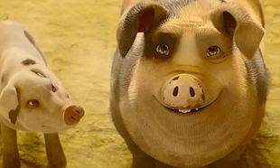 Animal Farm